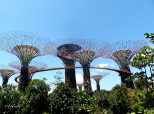 Backpacking Singapore trip to the Gardens by the Bay